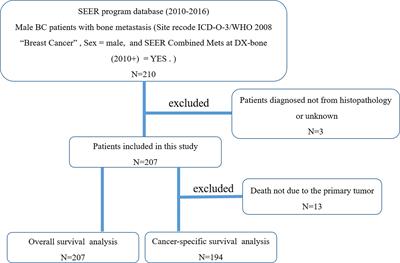 Survival Analysis in Male Breast Cancer With Bone Metastasis Based on the SEER Database